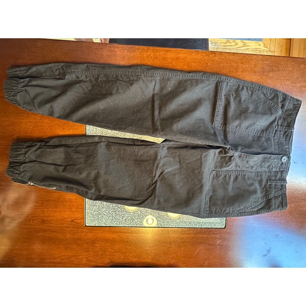 Banana Republic Petite Pants